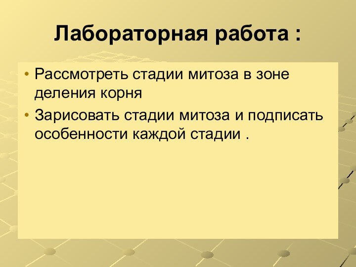 Лабораторная работа : Рассмотреть стадии митоза в зоне деления корня Зарисовать стадии