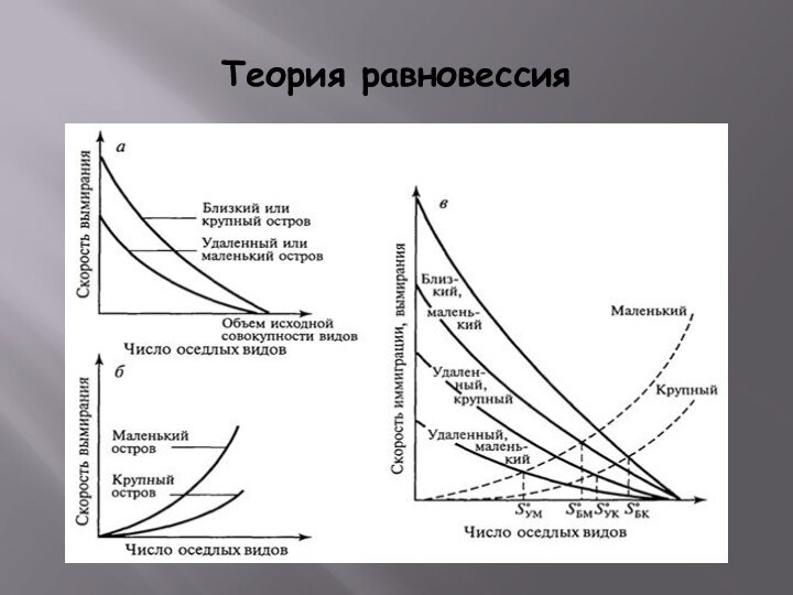 Теория равновессия