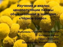 Ценопопуляция пижмы обыкновенной в экопарке Чёрное озеро