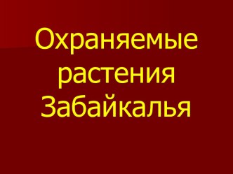 Охраняемые растения Забайкалья