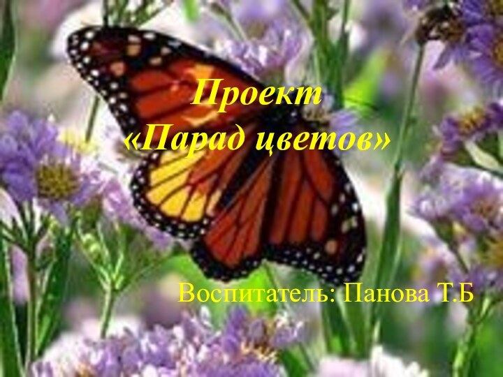 Проект «Парад цветов» Воспитатель: Панова Т.Б