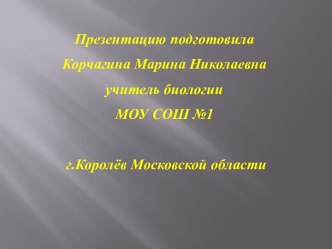 Моллюски