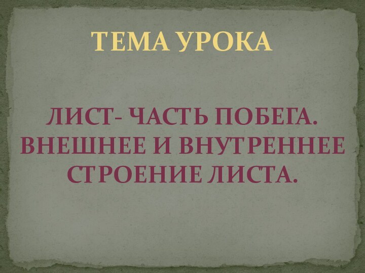 Тема урокаЛист- часть побега. Внешнее и внутреннее строение листа.