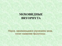Моховидные Bryophyta