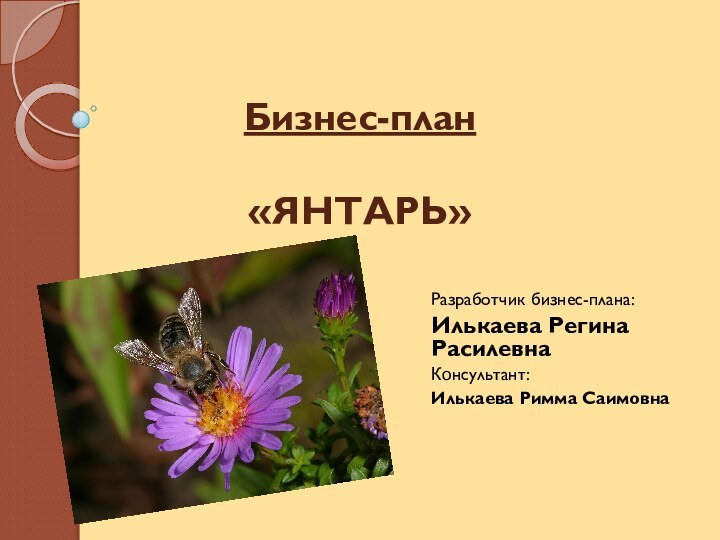 Бизнес-план  «ЯНТАРЬ»   Разработчик бизнес-плана:Илькаева Регина Расилевна Консультант: Илькаева Римма Саимовна