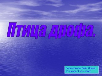 Птица Дрофа