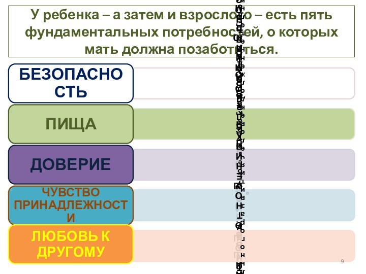 У ребенка – а затем и взрослого – есть пять фундаментальных потребностей,