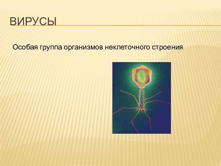 ВирусыОсобая группа организмов неклеточного строения