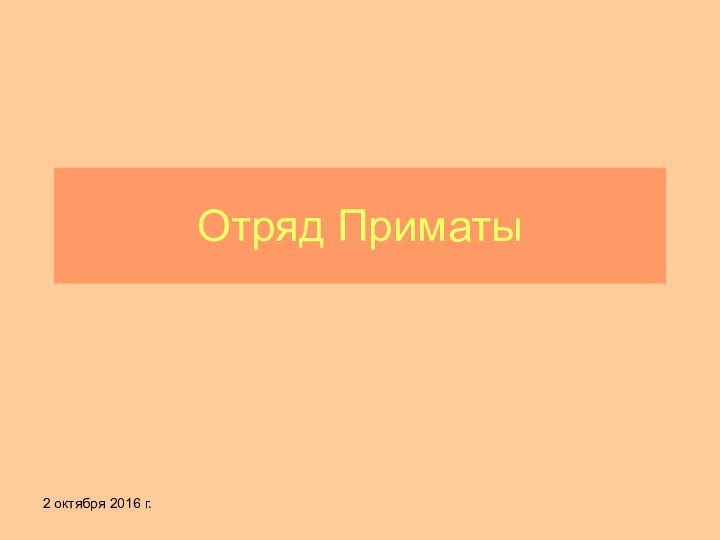 Отряд Приматы