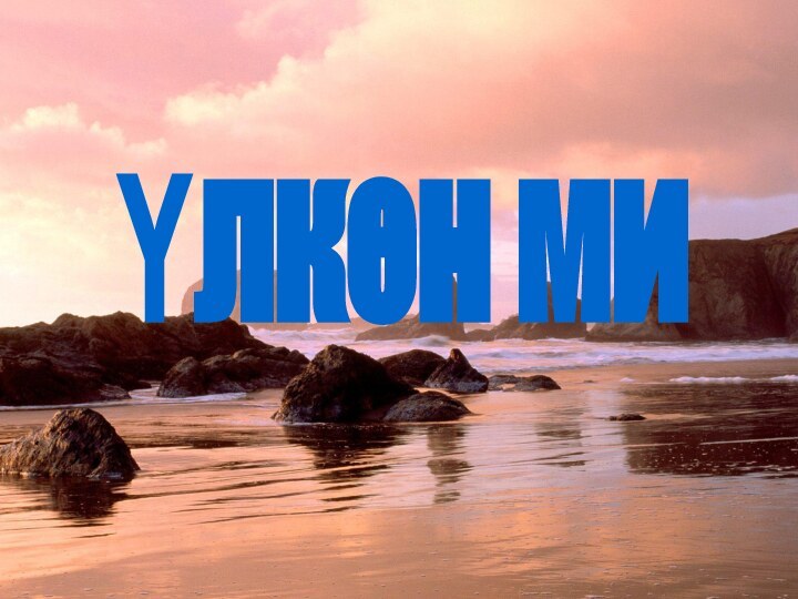 Үлкен ми