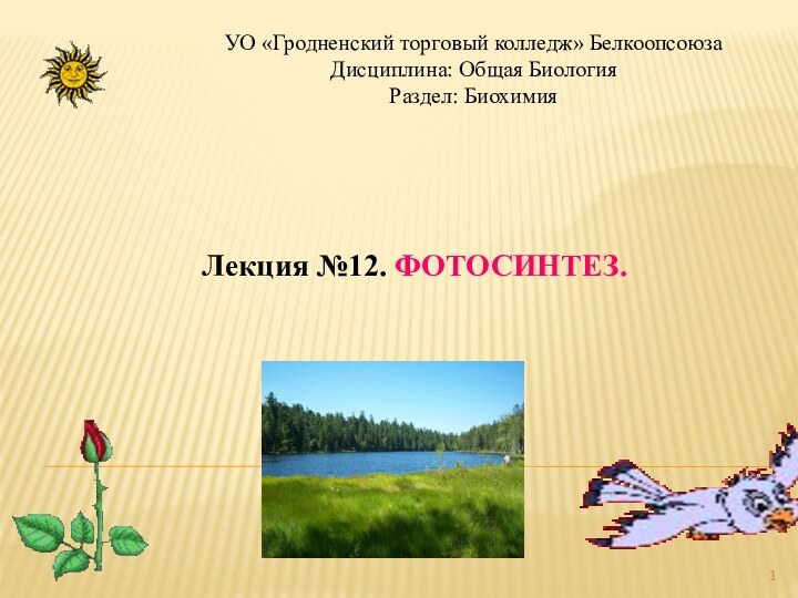 УО «Гродненский торговый колледж» Белкоопсоюза Дисциплина: Общая БиологияРаздел: БиохимияЛекция №12. ФОТОСИНТЕЗ.