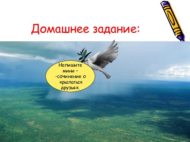 Домашнее задание:Напишите мини –-сочинение о крылатых друзьях.