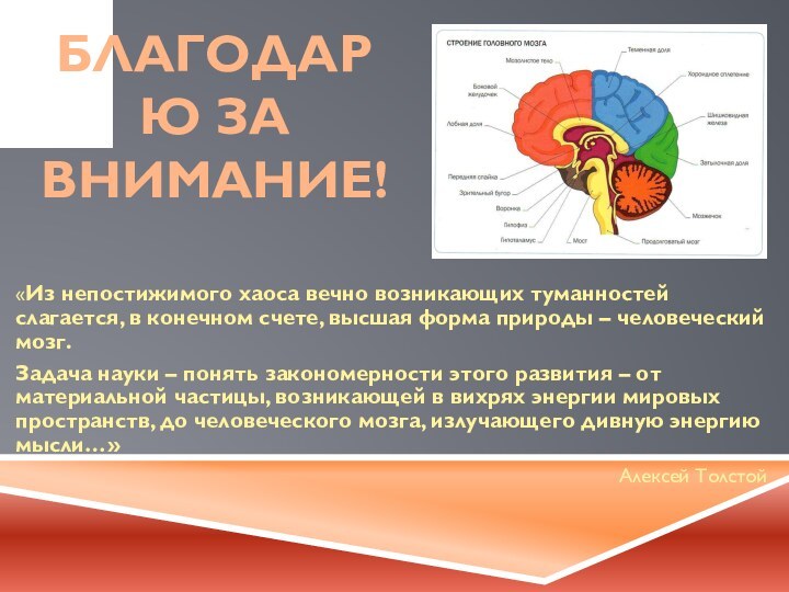 Благодарю за внимание!«Из непостижимого хаоса вечно возникающих туманностей слагается, в конечном счете,