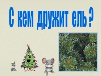 С кем дружит ель