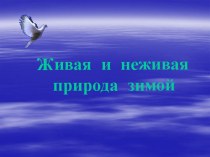 Живая и неживая природа зимой