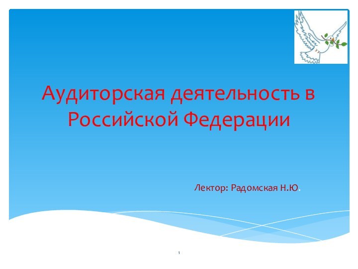 Аудиторская деятельность в Российской ФедерацииЛектор: Радомская Н.Ю.