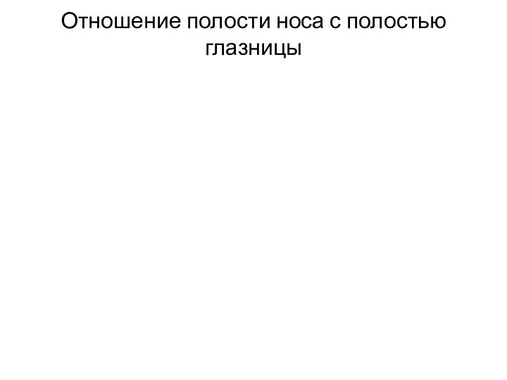 Отношение полости носа с полостью глазницы