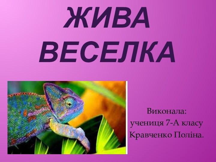 ЖИВА ВЕСЕЛКАВиконала:учениця 7-А класуКравченко Поліна.