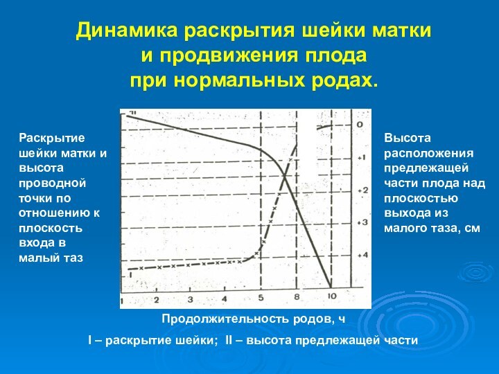 Динамика раскрытия шейки матки  и продвижения плода  при нормальных родах.Продолжительность