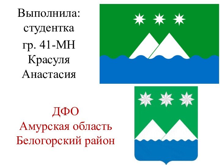 ДФО Амурская область Белогорский районВыполнила: студентка гр. 41-МН Красуля Анастасия