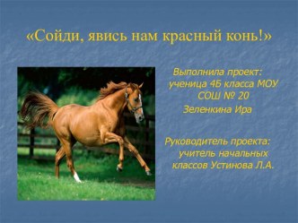Лошадь в жизни хакасского народа