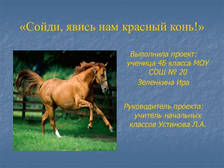 «Сойди, явись нам красный конь!»Выполнила проект: ученица 4Б класса МОУ СОШ №