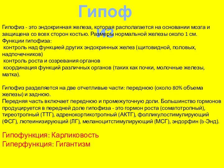 ГипофизГипофиз - это эндокринная железа, которая располагается на основании мозга и защищена