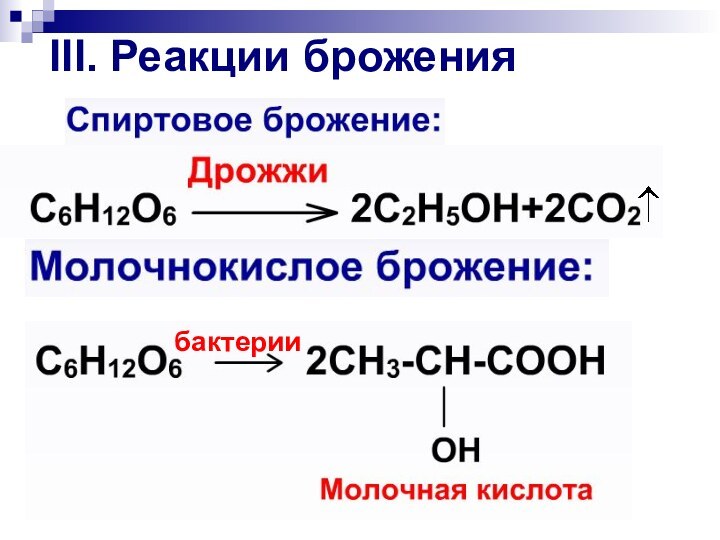 III. Реакции брожениябактерии