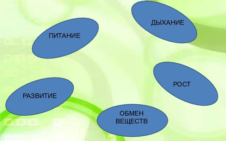 ПИТАНИЕДЫХАНИЕРОСТРАЗВИТИЕОБМЕН ВЕЩЕСТВ