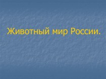 Животный мир России