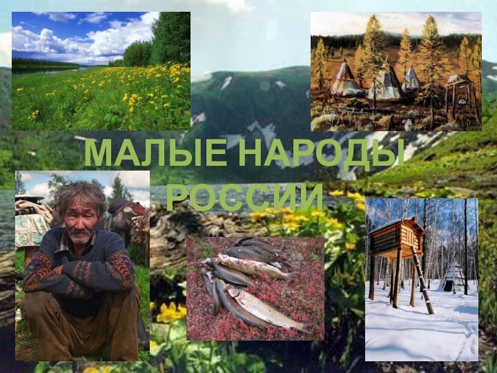 МАЛЫЕ НАРОДЫ РОССИИ