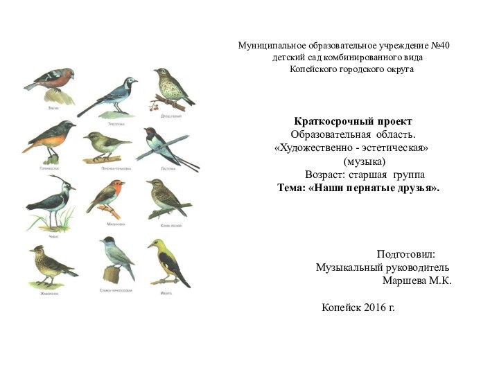 Муниципальное образовательное учреждение №40        детский