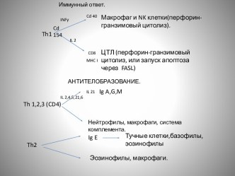 Иммунный ответ