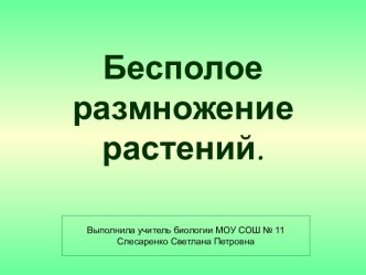 Презентация Бесполое размножение растений