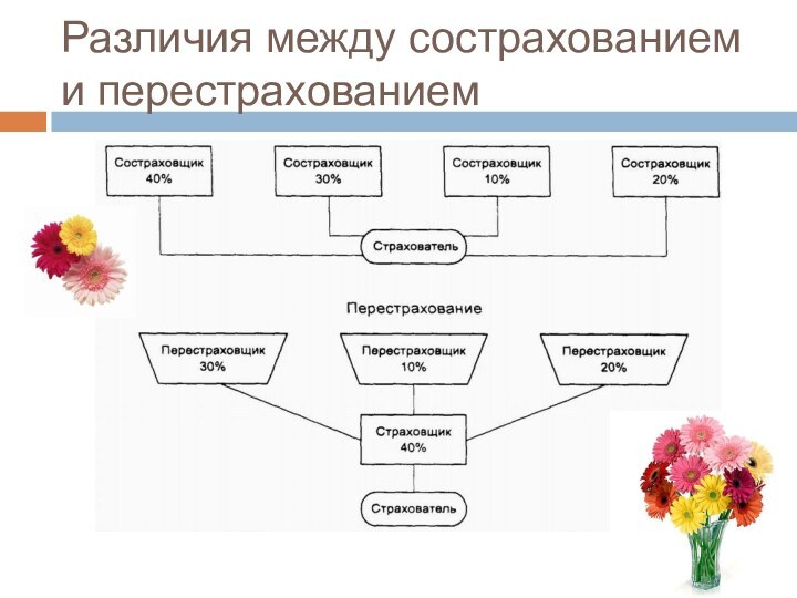 Различия между сострахованием и перестрахованием