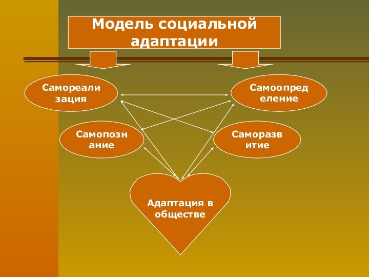 Модель социальной адаптацииСаморазвитиеСамопознаниеСамореализацияСамоопределениеАдаптация в обществе