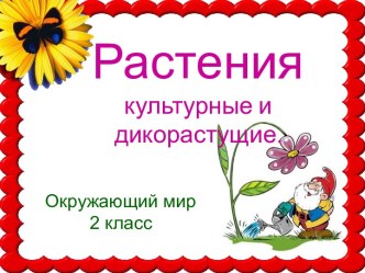 Растения культурные и дикорастущие