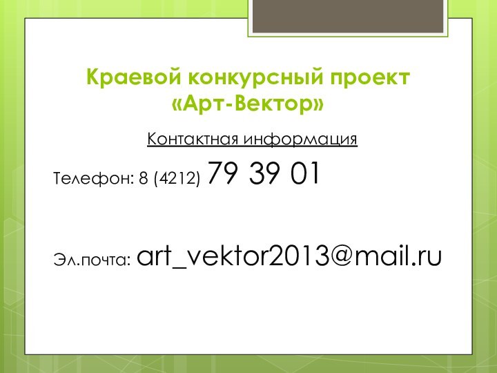 Краевой конкурсный проект «Арт-Вектор»Контактная информацияТелефон: 8 (4212) 79 39 01Эл.почта: art_vektor2013@mail.ru