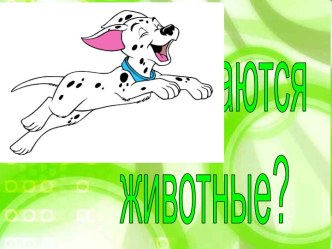 Как питаются животные?