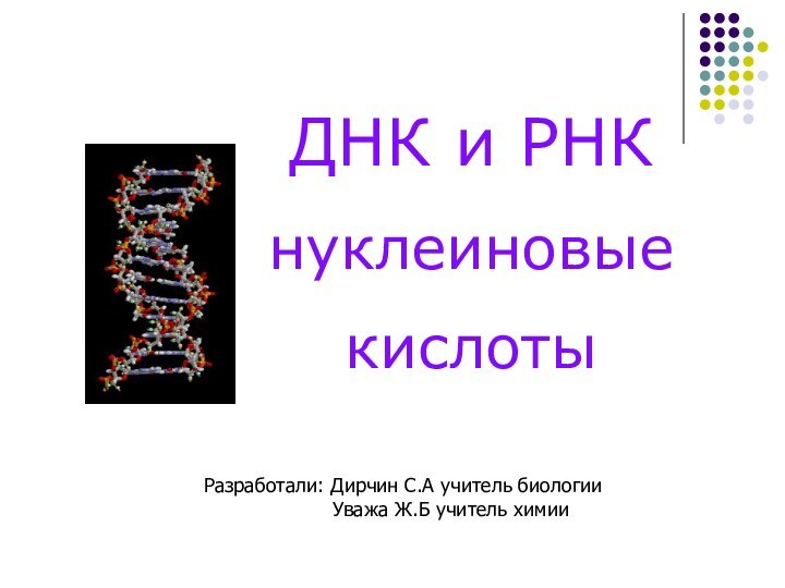 ДНК и РНК нуклеиновые кислотыРазработали: Дирчин С.А учитель биологии