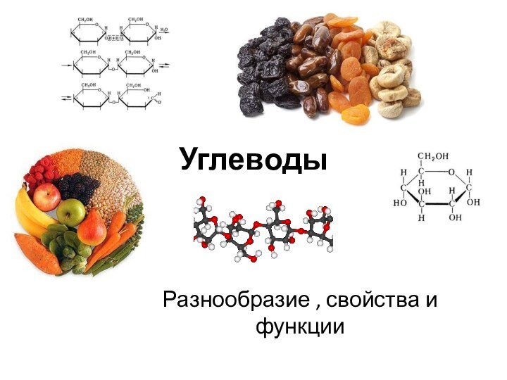 УглеводыРазнообразие , свойства и функции