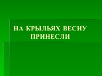 На крыльях весну принесли