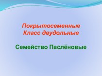 Покрытосеменные. Класс двудольные. Семейство Паслёновые