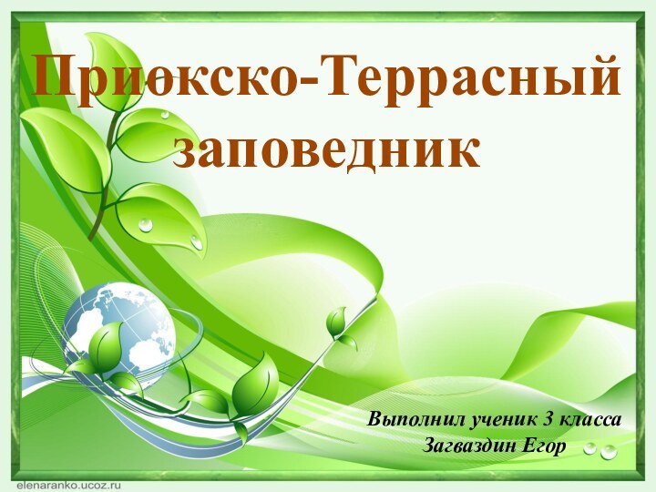 Приокско-Террасный заповедникВыполнил ученик 3 класса Загваздин Егор