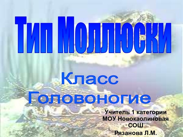 Учитель 1 категории МОУ Новокаолиновая СОШРязанова Л.М.Тип МоллюскиКлассГоловоногие