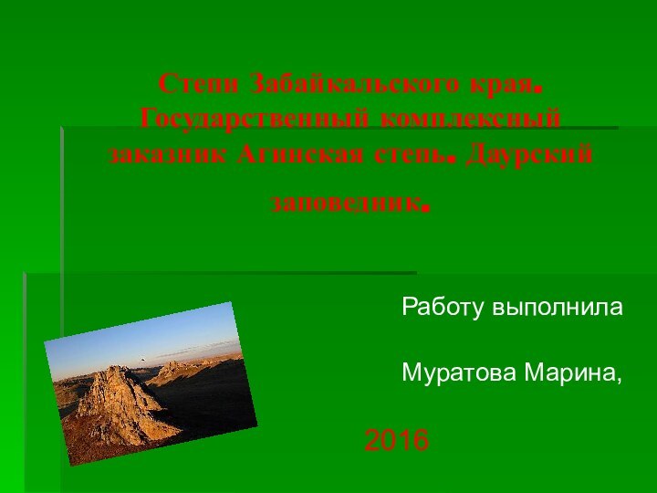 Степи Забайкальского края. Государственный комплексный заказник Агинская степь. Даурский заповедник. Работу