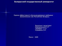 Оценка эффективности функционирования свободных экономических зон Республики Беларусь