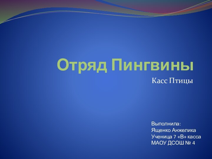 Отряд ПингвиныКасс ПтицыВыполнила: Ященко Анжелика Ученица 7 «В» касса МАОУ ДСОШ № 4