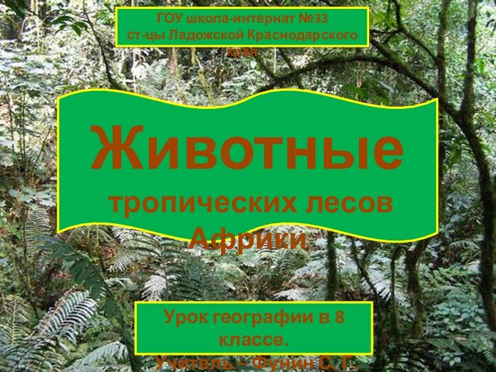 ГОУ школа-интернат №33ст-цы Ладожской Краснодарского краяЖивотные тропических лесов АфрикиУрок географии в 8