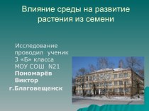 Влияние среды на развитие растения из семени